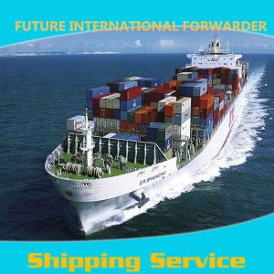 Quality One Stop Export Freight Logistics Warehousing Freight Logistics Warehousing wholesale