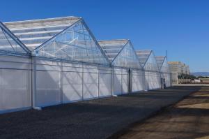 China Tropical Area Vegetable Plastic Film Greenhouse For Hydroponic Growing on sale