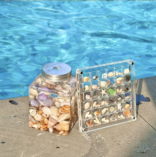New Design Magnetic Seashell Specimen Acrylic Display Box For Jewelry Storage Box