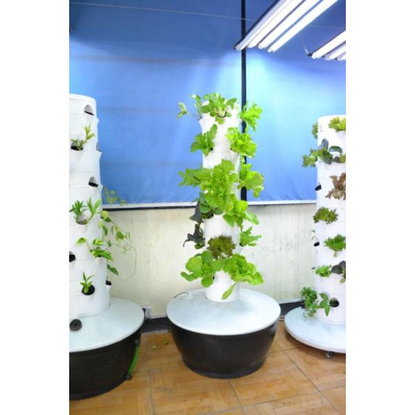 Farm Hydroponic System Aeroponic Tower For Strawberry And Leaf Vegetables Rotating