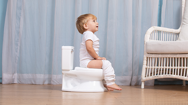 Printed Plastic Baby Potty Training Seat with EN71 Certification