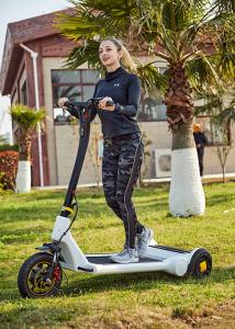 China Foldable 250W 30km Waterproof Electric Scooter on sale