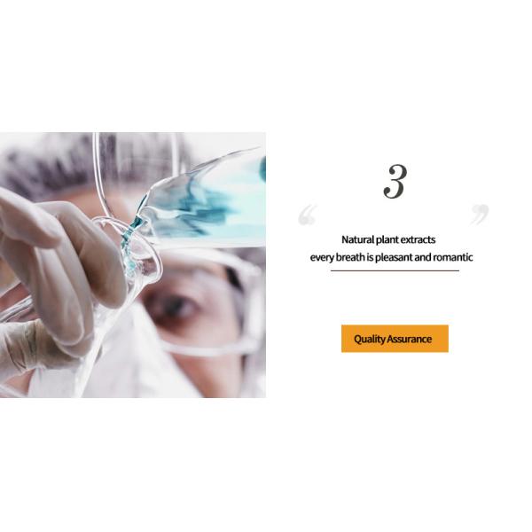 Luxury Glass Essential Oil Reed Diffuser , MSDS 200ml Fragrance Reed Diffuser