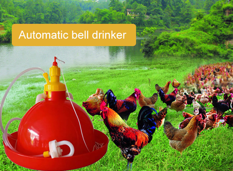 Chicken Plasson Chook Feeders And Drinkers For Poultry Waterer