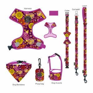 Luxury Dog Collar Leash Harness Set 6 Piece Design Sweat Resistant