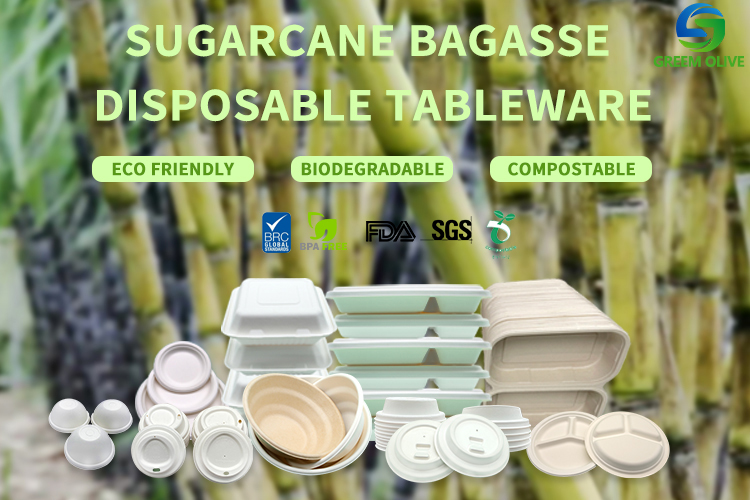 100% Compostable Biodegradable Disposable Sugarcane Bagasse 80mm 90mm Water Strawless Bubble Single Layer Paper Cup Lid
