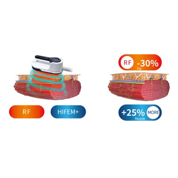 4 Handle RF Muscle Sculpt Fat Reduce Manufacturer EMS Sculpt RF Body Sculpt Machine