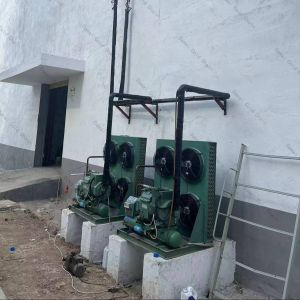 Cold Storage Cold Room Freezer Dimension Customized Cold Room