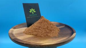 Quality Hot sale Natural ginkgo biloba leaf extract powder Flavones 24.0%, Lactones 6.0% wholesale
