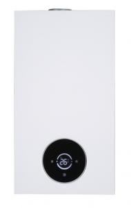 Quality Balanced Flue Gas Wall Mounted Boiler For Home Heating Solutions wholesale
