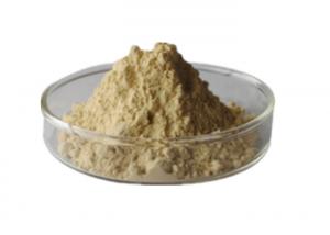 Quality Nattokinase Supplement Raw Materials Light Brown Powder CAS 133876 92 3 wholesale