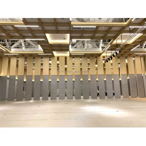 Quality Adjustable Height Moveable Event Partition Wall Panels Eco Friendly wholesale