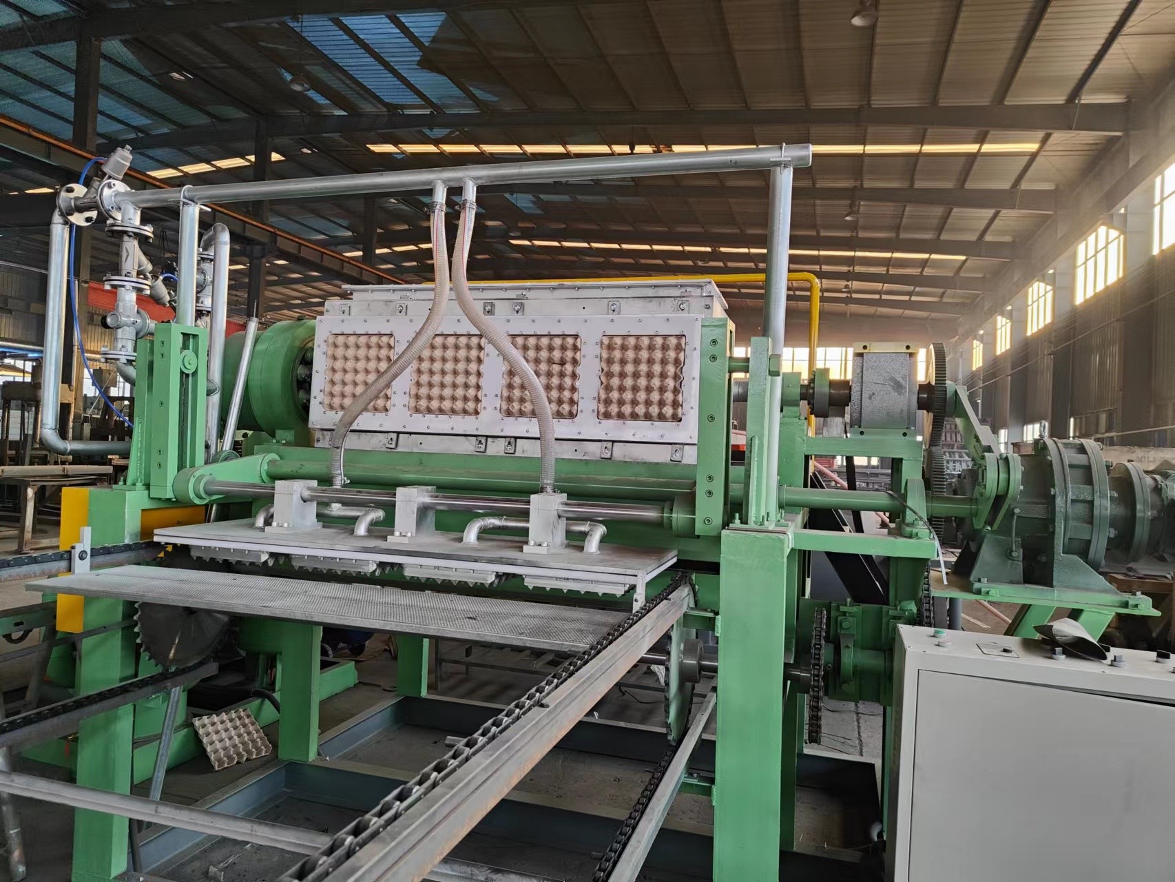 6s/Cycle Pulp Egg Tray Making Machine With PLC Control System
