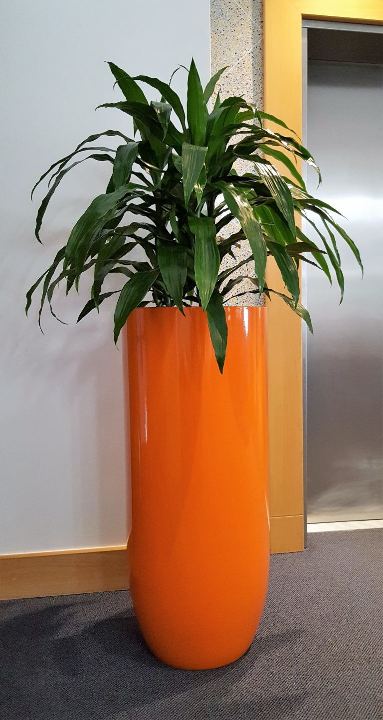 Round Large Fiberglass Flower Pots for Outdoor Street Landscape
