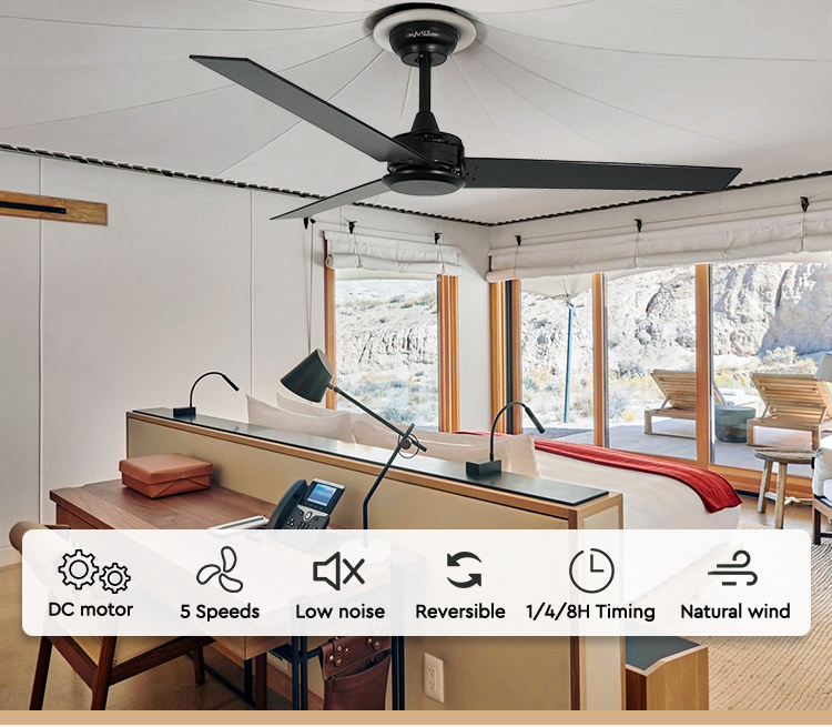 ceiling fan
