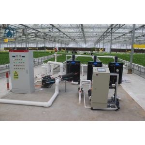 Agricultural Vertical NFT Hydroponic Lettuce Growing Systems Equipment In