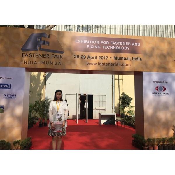 M6 M8 M10 M12 Carbon Steel Din 1624 Insert 4 Prong Tee T Nut Zinc Plated