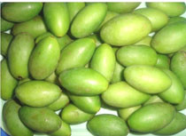 Brown Green Glass Optical Color Sorter for Ceramic Stone Impurity Removal