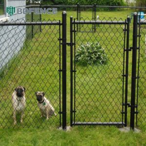 Park Trail Chain Link Fence Greenery Divider
