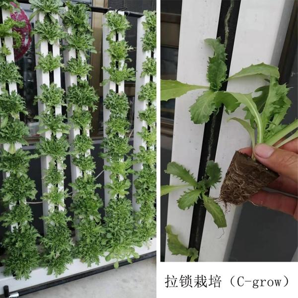 Indoor Hydroponic Growing Systems Home Zip Vertical Hydroponic System
