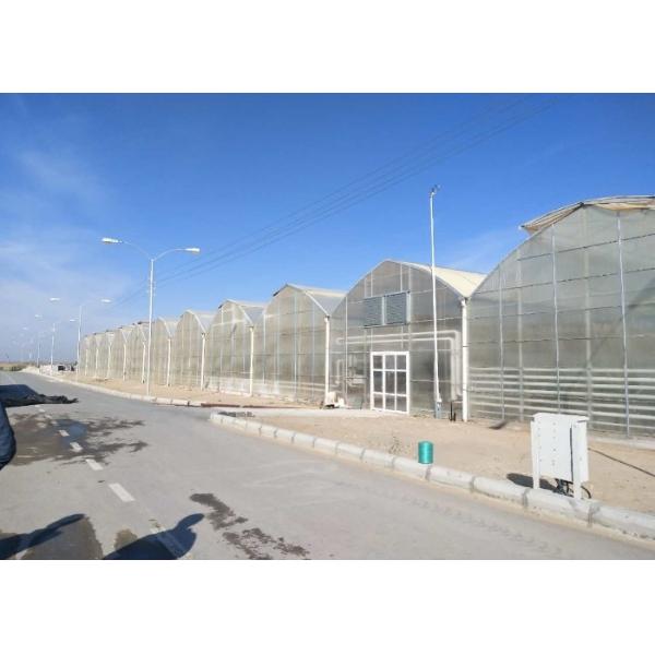 3mm 4mm 16mm 10mm Hollow Galvanized Polycarbonate Greenhouse With Growing System In Turkmenistan