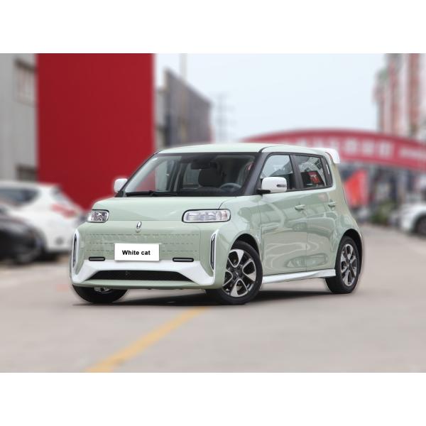Pure Electric 48 Horsepower ORA White Cat 305km Range 4-Seater Hatchback Energy Vehicle 0km Used Mini Electric Car Adult