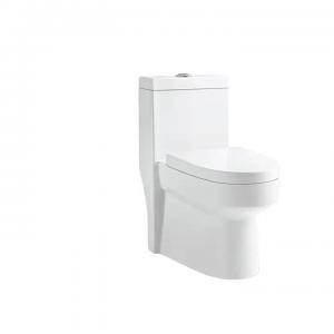 China Rimless Dual Flush One Piece Toilet Sanitary Ware Complete Toilet on sale