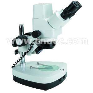 Quality 10X-40X Digital Stereo Microscope A32.1202 With Halogen Lamp And Coarse Focusing wholesale