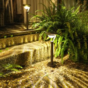 LED Solar Garden Light With Easy Installation Weather Resistant for Flower