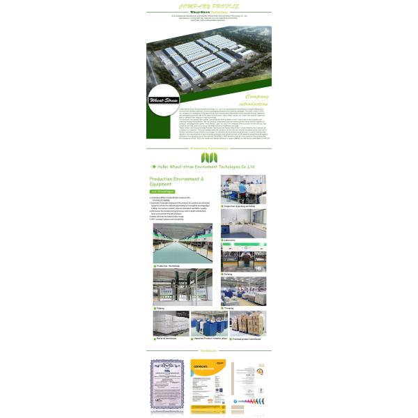 Eco-Friendly Biodegradable Disposable Sugarcane Bagasse Soup Bowl