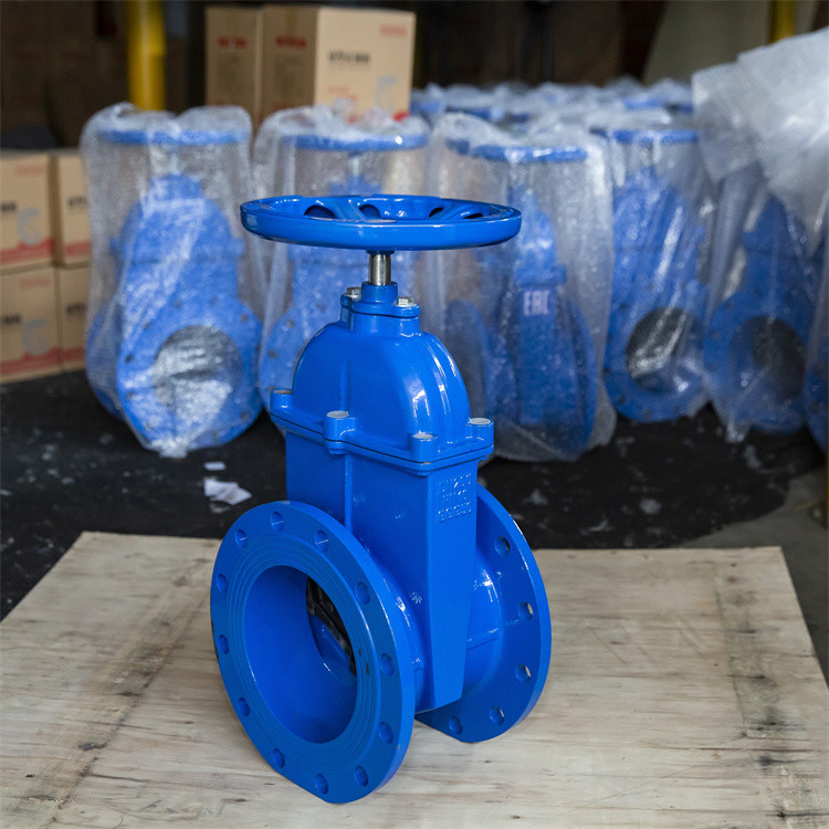 DN50 Resilient Seat Gate Valve Ductile Iron Flanged PN16 Double Epoxy Coating