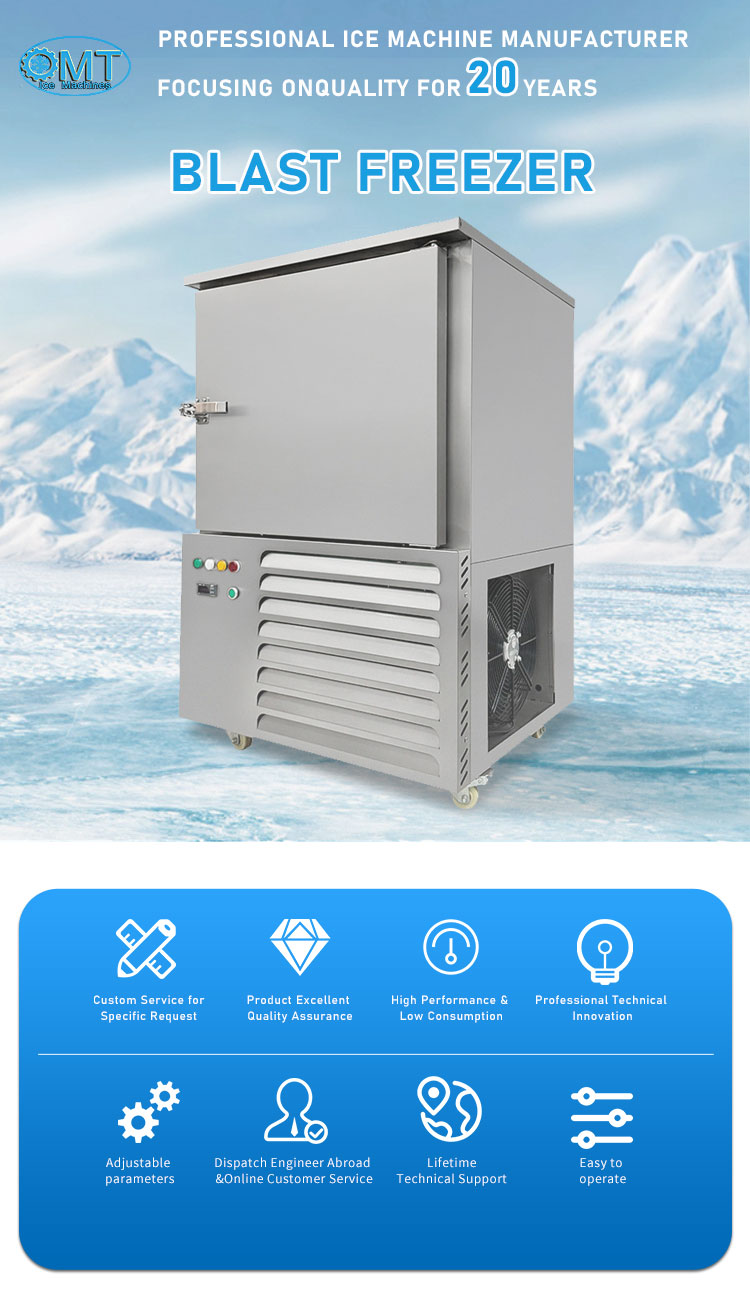 Customizable Commercial Horizontal Plate Freezer With Temperature Control