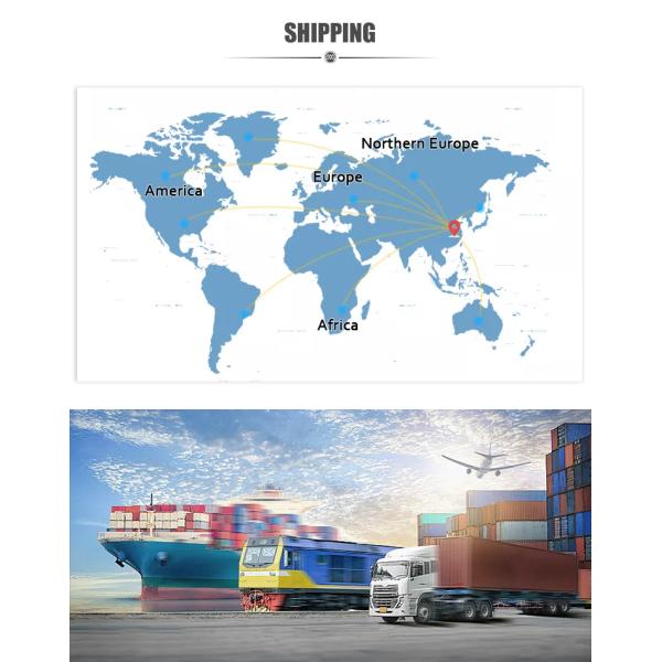 Bronze LED Wall Sconce 460mm Height 110V-240V for Home Office