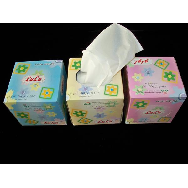 Quality Cube Box Facial Tissue Paper , 2ply * 100 sheets per box wholesale