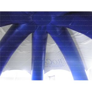 Inflatable Dome (CYTT-169)