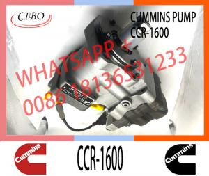 China Original Fuel engine Pump Assembly 3973228 CCR1600 For QSL Engine fuel injection pump 3973228 ccr 1600 on sale