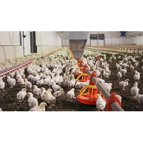 Customized Prefabricated Steel Shed Farm Building with C.Z Shape Steel Channel Purlin