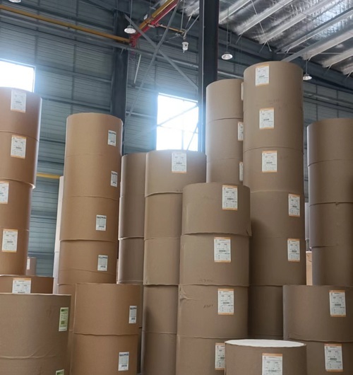 Biodegradable Food Grade Greaseproof 100% Virgin Wood Pulp Cup Stock Paper Jumbo Roll for Food Packaging