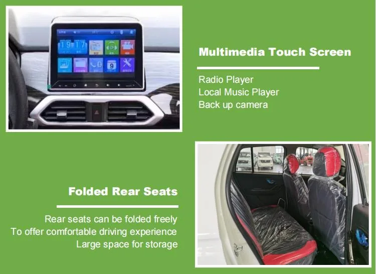 China Raysince Factory Hot Sales Model Cars Electric Sedan Four Seat Five Door New Energy Mini Electric Car for Adults