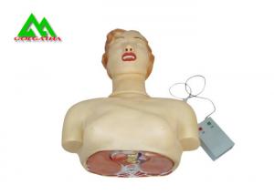 Quality Human Body Medical Teaching Models for Cardiopulmonary Resuscitation Practices wholesale