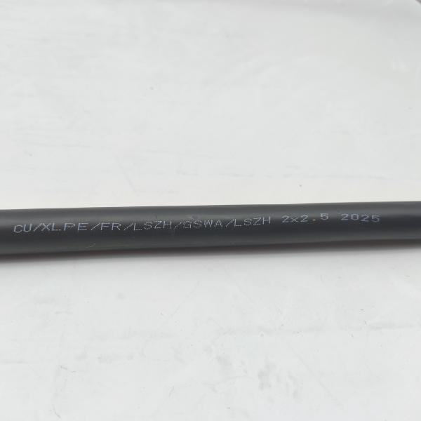 Quality Instrumentation Cable CU/XLPE/FR/LSZH/GSWA/LSZH 2x2,5 wholesale