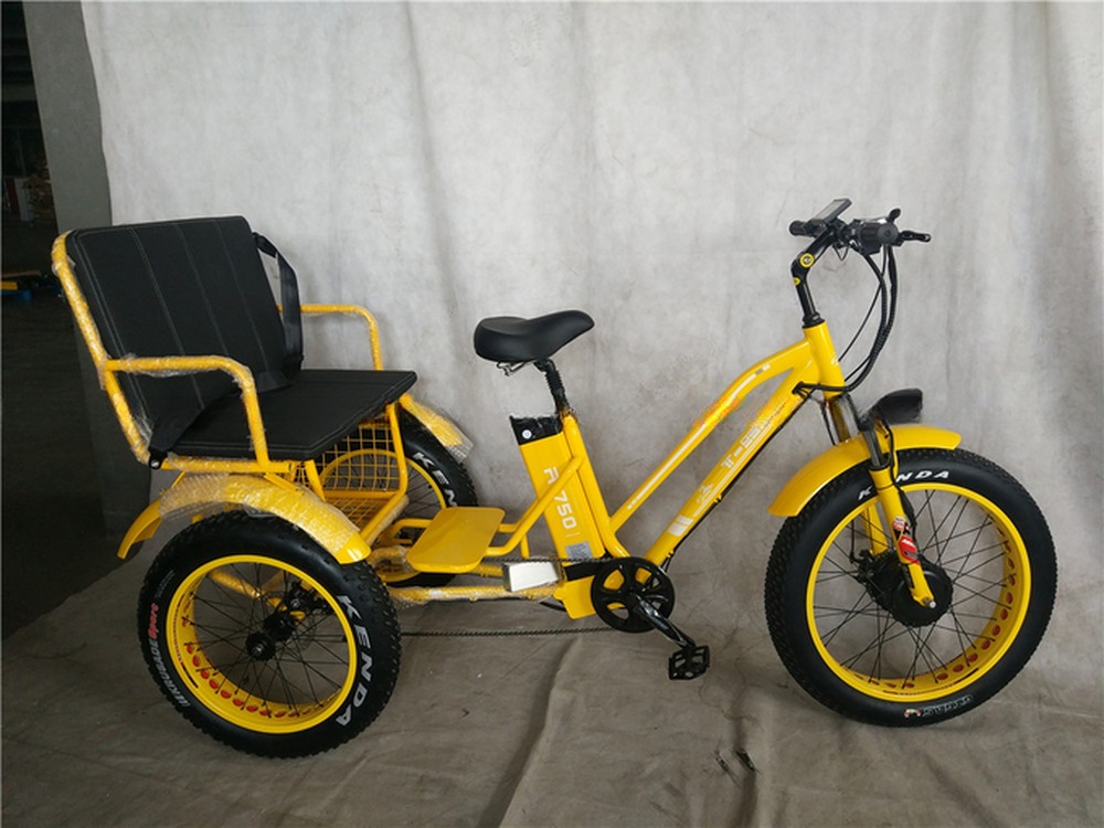 USA 24"20" Motorized Bafang 8fun 750W 48V 17a Adult 3 Wheels Cargo Ebike Electric Tricycle