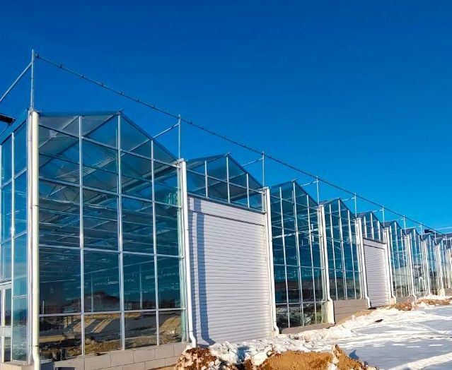 Commercial Heating Method Garden Glass Greenhouse