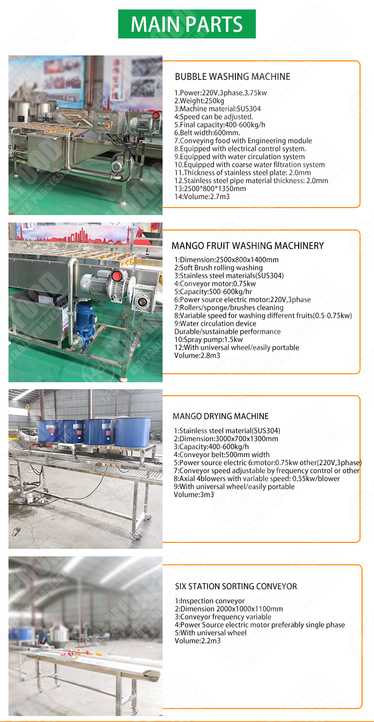 Vegetable Wash And Sorting Production Line For Cleaning Lemon Mango Avocado Olive Washing Drying Grading Machine