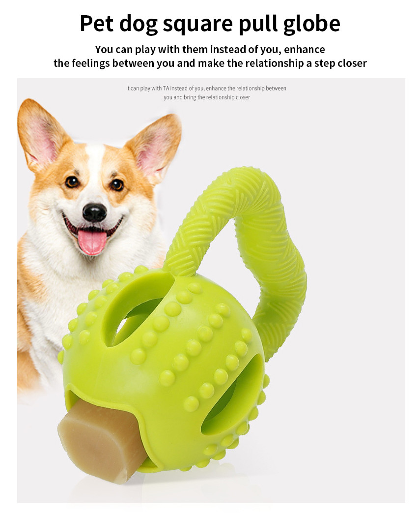 Quality Sustainable TPR Dog Toys Interactive Dog Training Toys Customized wholesale