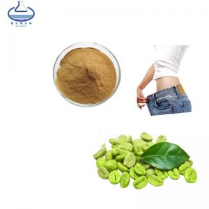 China Green Coffee Bean Extract Weight Loss Foods Chlorogenic Acid Powder on sale