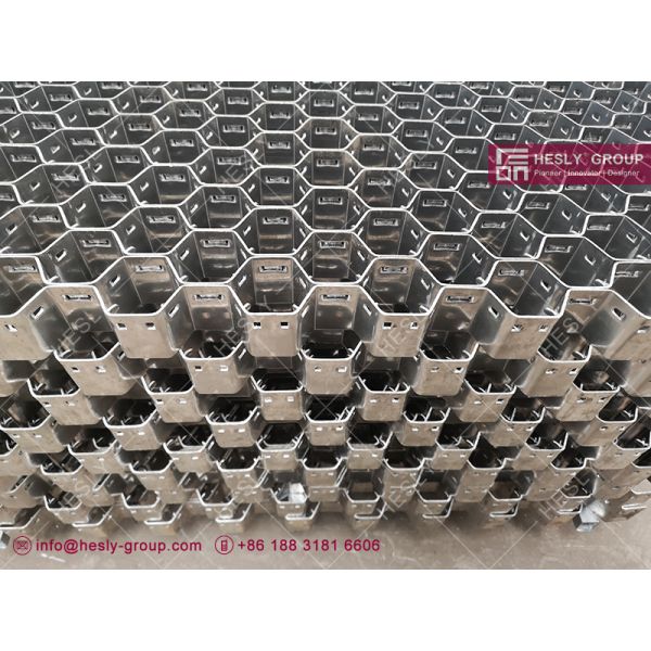 310S Hexmesh China HESLY