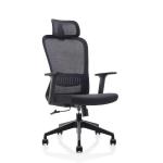 Metal Ergonomic Swivel Chair Wear Resistant Mesh High Back Executive Chair