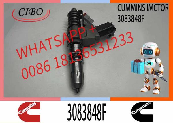 Diesel Fuel Injector 3081315 3073995F 3083846T 3083848F 3411766F 3080931F