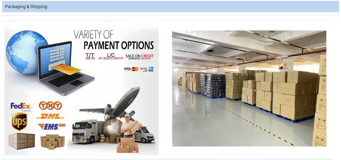 High Performance Emergency LED Light 110lm/W 10W Explosion-Proof Lithium Battery Long Lifespan IP66 Rated Hazardous Gas for Dust Environments